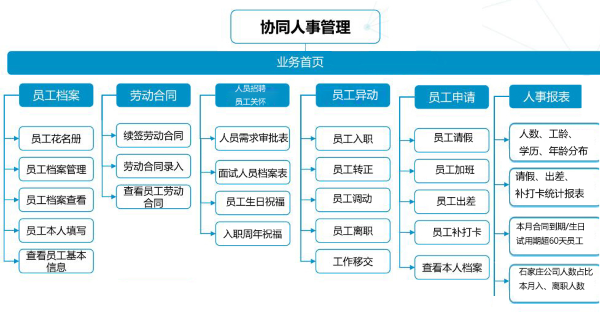 河北 紫岩 协同 人力管理 evo真人视讯